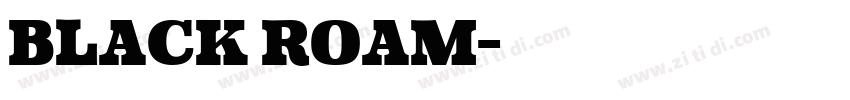 Black Roam字体转换 Black Roam字体转换